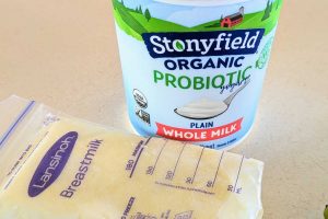 13 Easy and Healthy Breast Milk Food Recipes For Babies - Diary of a ...