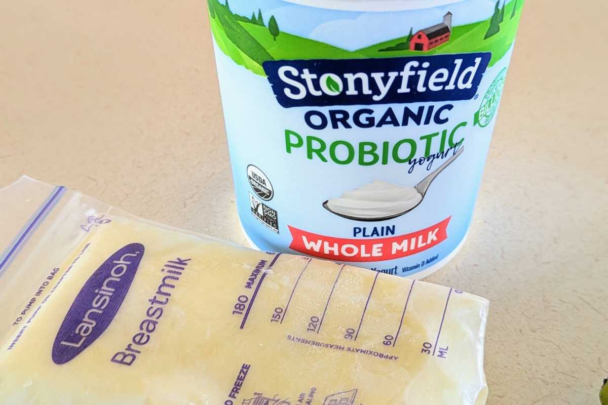 13 Easy and Healthy Breast Milk Food Recipes For Babies - Diary of a ...