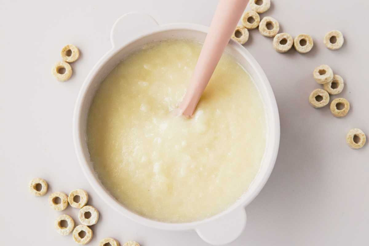 13 Easy and Healthy Breast Milk Food Recipes For Babies - Diary of a ...