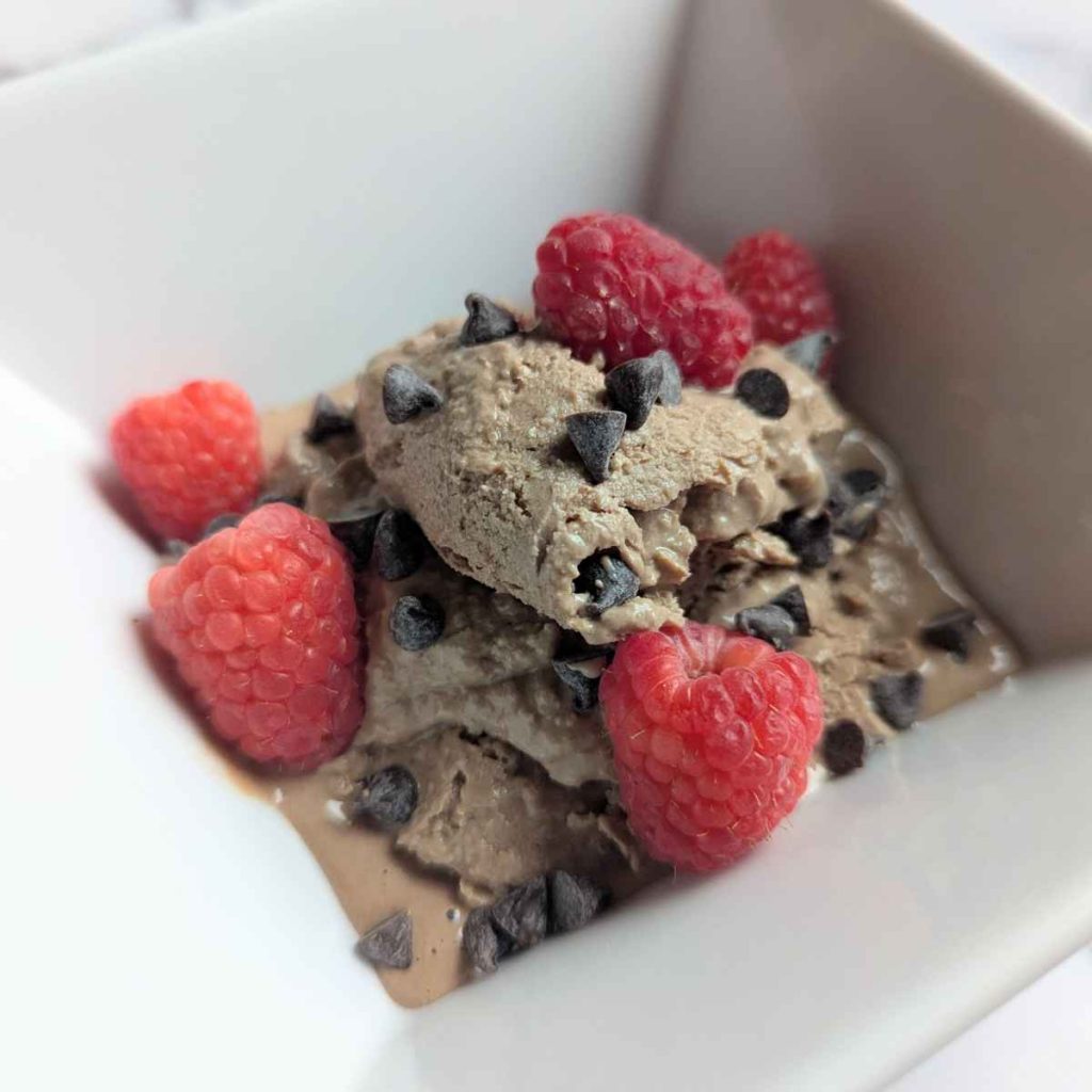 chocolate yogurt ice cream in a white square bowl with raspberries and mini chocolate chips on top