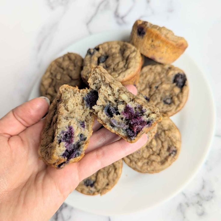 sugar free blueberry muffins sitting on plate