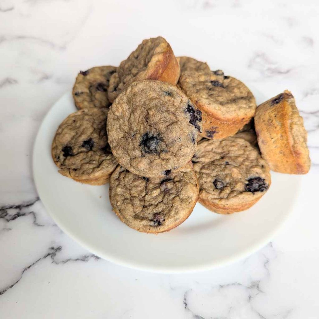 sugar free blueberry muffins sitting on plate