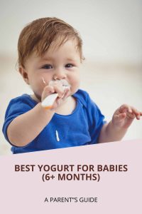 Best Yogurt for Babies (6+ Months): A Parent's Guide - Diary of a