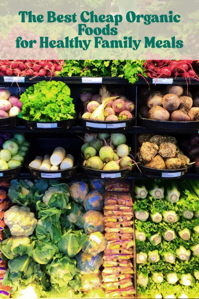 Pin graphic for the best cheap organic foods for healthy family meals