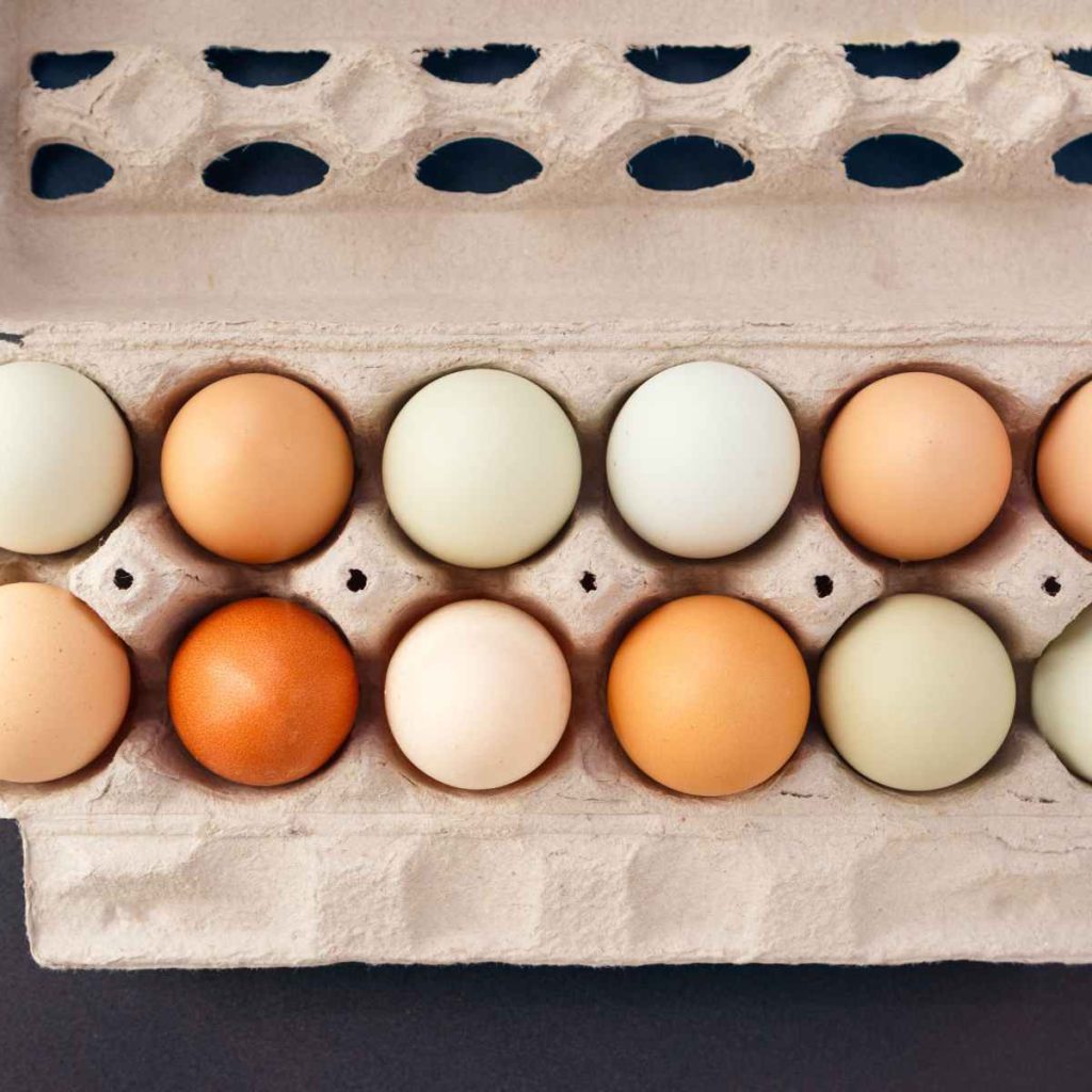 organic eggs in carton