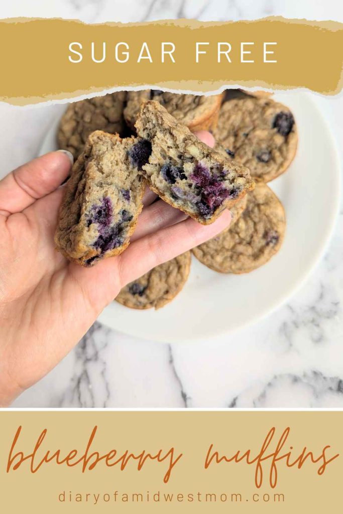 sugar free blueberry muffins sitting on plate